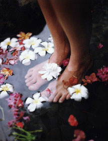 Flores de Bach