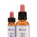 Beech: Haya - Flor de Bach (30 ml.)