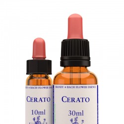 Cerato: Ceratostigma - Flor de Bach (30 ml.)