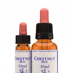 Chestnut bud: Brote de castaño - Flor de Bach (30 ml.)