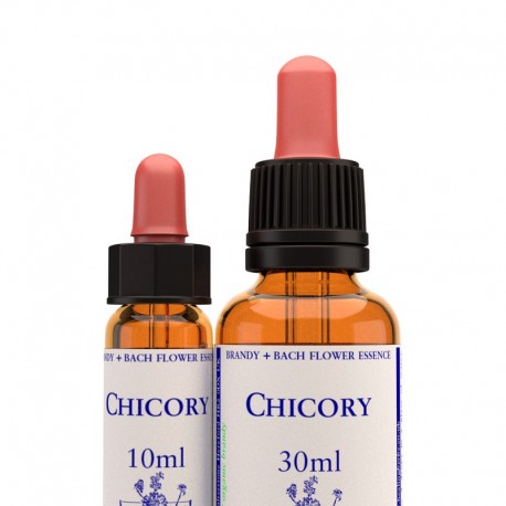 Chicory: Achicoria - Flor de Bach (30 ml.)