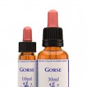 Gorse: Aulaga - Flor de Bach (30 ml.)