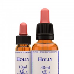 Holly: Acebo - Flor de Bach (30 ml.)