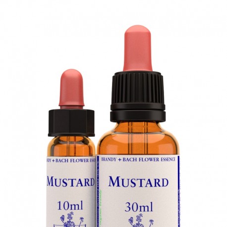 Mustard: Mostaza - Flor de Bach (30 ml.)