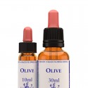 Olive: Olivo - Flor de Bach (30 ml.)