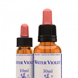Water violet: Violeta de agua - Flor de Bach (30 ml.)