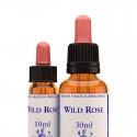 Wild Rose: Rosa silvestre o Escaramujo - Flor de Bach (30 ml.)