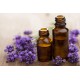Lavanda - Aceite esencial orgánico para aromaterapia