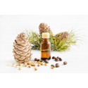 Cedro - aceite esencial para aromaterapia