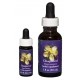 Chaparral - Flor de California