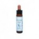 Olive: Olivo - Flor de Bach