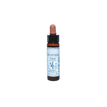 Olive: Olivo - Flor de Bach