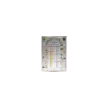 Flores de Bach - Poster
