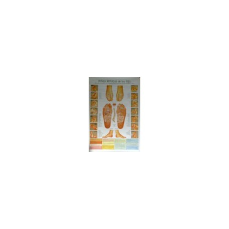 Reflexología de los pies - Poster