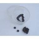 Magnetos mini, para Auriculoterapia