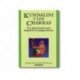Kundalini y los chakras