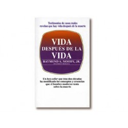 Vida después de la vida