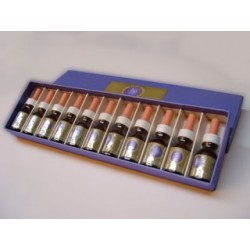 Kit de 21 Esencias del Desierto Florido de Chile