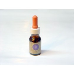 Huilli o Cebollín - Esencia Floral del Desierto de Chile