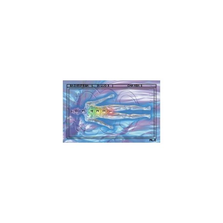 Salud 3 - Chakras