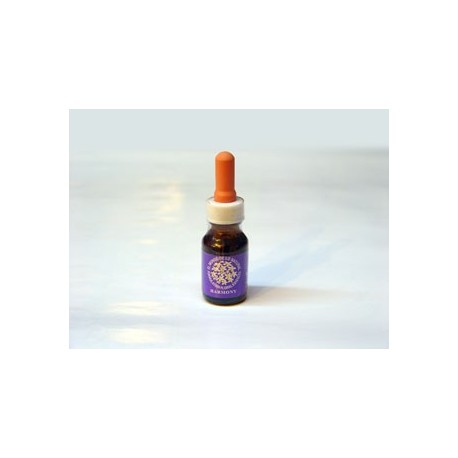 Purificación del Aura - Combinación de Chile