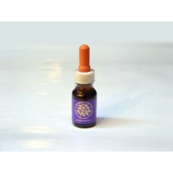 Urgencia Floral - Combinación de Flores de Chile