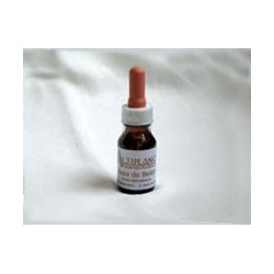 Algodón - Esencia Floral del Altiplano de Chile