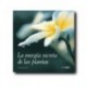 La energía secreta de las plantas