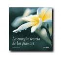 La energía secreta de las plantas