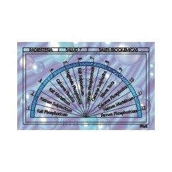 Salud 7 - Sales de Schüssler