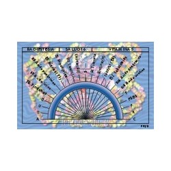 Salud 16 - Vitaminas