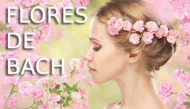 Flores de Bach